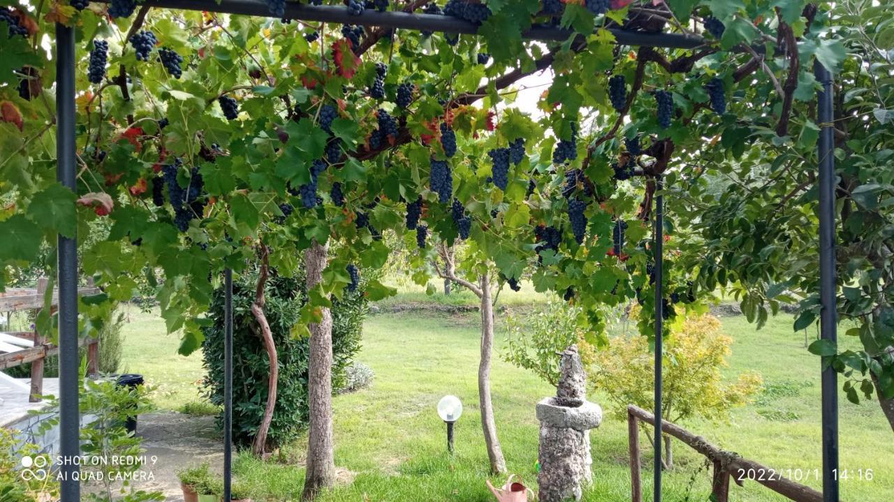 Etna, Salvia E Rosmarino Villa Maletto Exterior photo